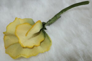 ߂ԁ@RT[WXB[gs[@⁙VN100%{̍RT[W hV̓@̓@̓ w ƎtH[} wAANZT[ysmtb-kzykyz