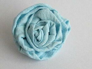 ߂ԁ@RT[Wኪo@u[RT[W  w ƎtH[} wAANZT[ysmtb-kzykyz