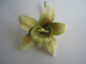 50OFFI߂ԁ@RT[W@VrWE@΁⁙VN100%RT[W  w ƎtH[} wAANZT[ysmtb-kzykyz