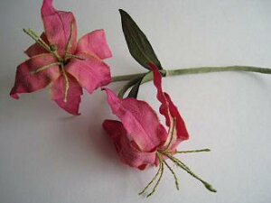 VN100%Ȃł͂̔F@߂ԁ@֑}i񂴂j@OITCeA  z̉  v[gMtg ̓ ̓ hV