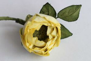 ߂ԁ@RT[Wo@F⁙VN100%RT[W ̓@@w ƎtH[} wAANZT[ aysmtb-kzykyz