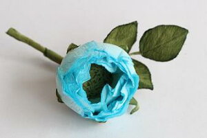 ߂ԁ@RT[Wo@F⁙VN100%RT[W ̓@ w ƎtH[} wAANZT[ aysmtb-kzykyz