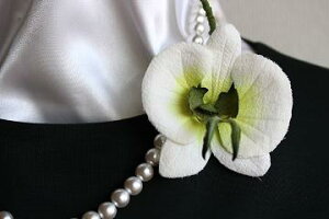 ߂ԁ@RT[WR`E@΁⁙VN100%{̍RT[W hV̓@̓@ w ƎtH[} wAANZT[ysmtb-kzykyz