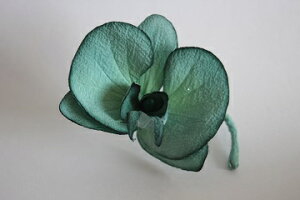 ߂ԁ@RT[WR`E@Z݂ǂ@⁙VN100%{̍RT[W@hV̓@̓@  w ƎtH[} wAANZT[ysmtb-k