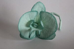 ߂ԁ@RT[WR`E@݂ǂ⁙VN100%{̍RT[W@hV̓@̓@  w ƎtH[} wAANZT[ysmtb-kzyky