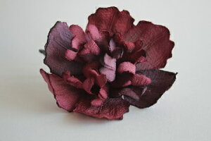 ߂ԁ@RT[WVNN@Ԍn⁙VN100%{̍RT[W  hV̓ ̓ ̓  w ƎtH[} wAANZT[z̉ 