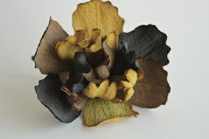 ߂ԁ@RT[WVNN@n⁙VN100%{̍RT[W hV̓ ̓ ̓  w ƎtH[} wAANZT[z̉ 