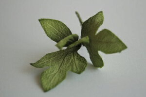 ߂ԁ@RT[W؂̗t@΁⁙VN100%{̍RT[W@hV̓@̓@  w ƎtH[} wAANZT[ysmtb-kzykyz