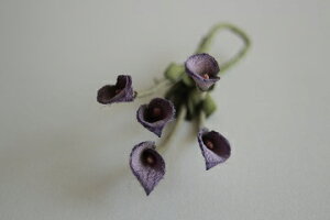 ߂ԁ@RT[WᏬԁ@5ց@⁙VN100%{̍RT[W̓@  w ƎtH[} wAANZT[ysmtb-kzykyz