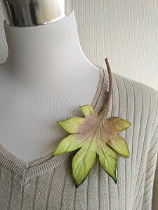 ߂ԁ@RT[W؂̗t@̎q⁙VN100%{̍RT[W@hV̓@̓@  w ƎtH[} wAANZT[ysmtb-kzykyz