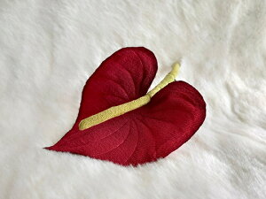 ߂ԁ@RT[WAXE@ԁ⁙VN100%{̍RT[W hV̓ ̓ ̓  w ƎtH[} wAANZT[z̉ 