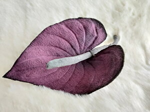 ߂ԁ@RT[WAXE@⁙VN100%{̍RT[W hV̓ ̓ ̓  w ƎtH[} wAANZT[z̉ 