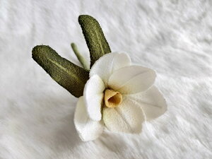 ߂ԁ@RT[Wᐅ@⁙VN100%{̍RT[W  VN hV̓ ̓  w ƎtH[} wAANZT[ysmtb-kzykyz