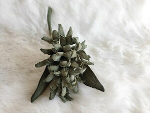 ߂ԁ@RT[WqVXij@΁⁙VN100%{̍RT[W@hV̓@̓@  w ƎtH[} wAANZT[ysmtb-k