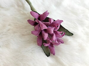 ߂ԁ@RT[WqVXij@Ԏ⁙VN100%{̍RT[W@hV̓@̓@  w ƎtH[} wAANZT[ysmtb-