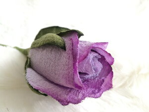 ߂ԁ@RT[W@Qiڂ݁jo@a{ VN@RT[W  hV̓ ̓ ̓  w ƎQ tH[} wAANZT[ Ce