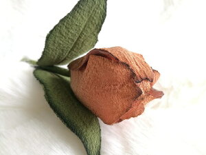 ߂ԁ@RT[W@Qiڂ݁j`[bv@IW{ VN@RT[W  hV̓ ̓ ̓  w ƎQ tH[} wAANZT