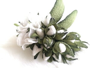 ߂ԁ@RT[W@Qiڂ݁jXgbN@{ VN@RT[W  hV̓ ̓ ̓  w ƎQ tH[} wAANZT[ C