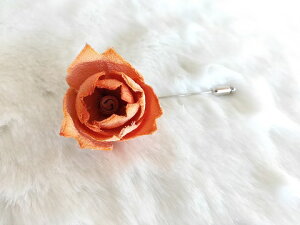 VN100%̔F@߂ԁ@sEu[`@}OmA@IWRT[W nbgs@Xg[s@ z̉  v[gMtg ̓ 