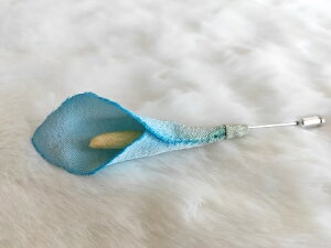 VN100%̔F@߂ԁ@sEu[`@J[@FRT[W nbgs@Xg[s@ z̉  v[gMtg ̓ ̓ hV