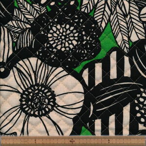 QUP5678 B GR ȖLoXLg t[