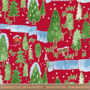 AP15801 1B RD NX}X XPA