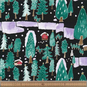 AP15801 1E BK NX}X XPA