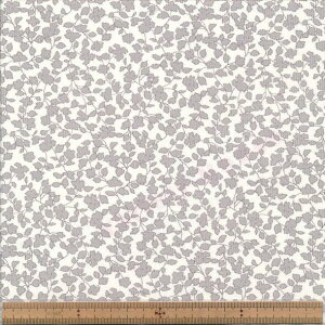 FC22Z 10 OW 21wR[fC Leaf