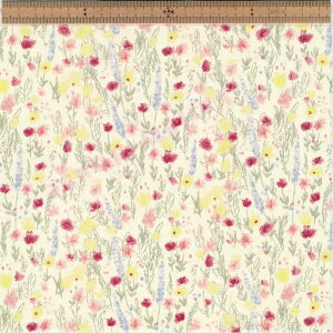 KTS7001 B  NpXԔ u[h