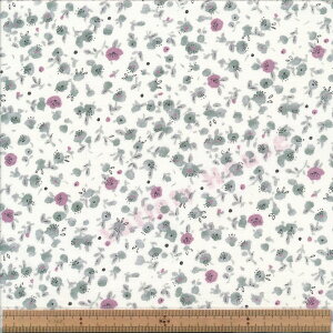 AP42802 3C GR AWu[P V[`O