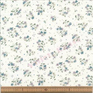 AP42802 5D GR AWu[P V[`O