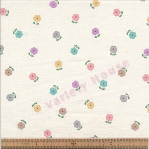 AP42104 1B KN RAt[ V[`O