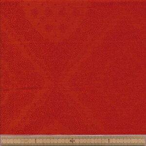 FC247-26/27 TCWK[h o_i