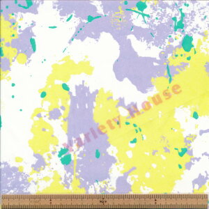 1023 2C LV yCg iC^t^