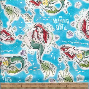 GR1136-1A SX AG IbNXqɔXWr