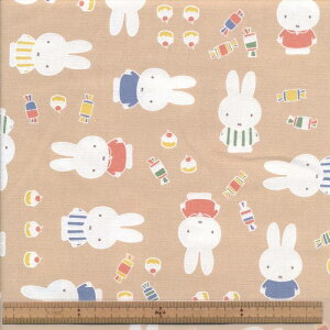 G2023-1C BE ~btB[ IbNX