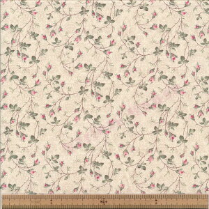 KS25-003 NC~O [Y V[eBO