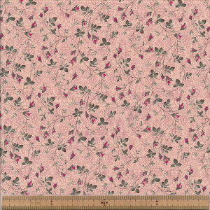 KS25-003 NC~O [Y V[eBO