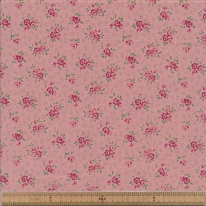 KS25-007 XC[g[Y V[eBO