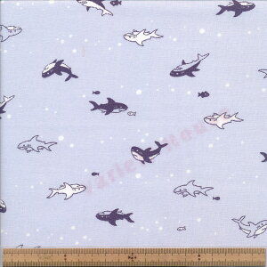 AP51201-3 gT V[`OiI[KjbNRbgj