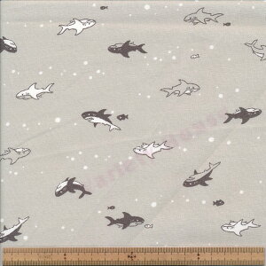 AP51201-3 gT V[`OiI[KjbNRbgj