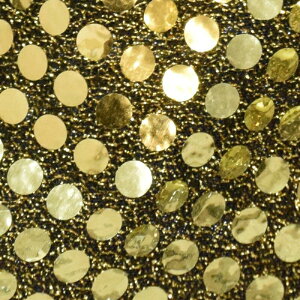 ND21Y-15 GD tFCNXpR[ jbg