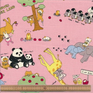 KTS6928 B PK ݃_[h LoX