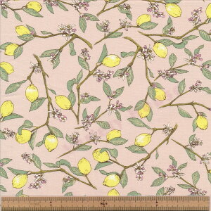 KTS6951 B sN } u[h