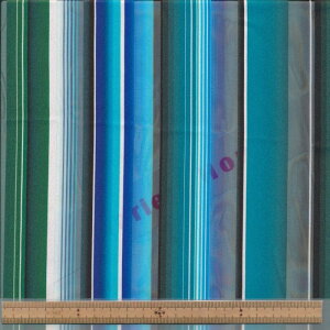 KDP1217 BL TeXgCvW[[bg IJ