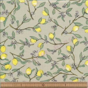 LKTS6951 C O[ } u[h~l[g