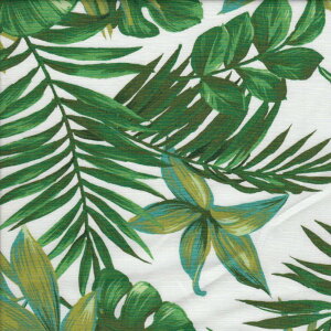 401 A Green x White nCA u[h