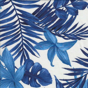 401 C Blue x White nCA u[h