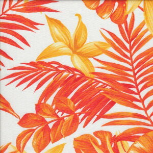 401 G Yellow x White nCA u[h