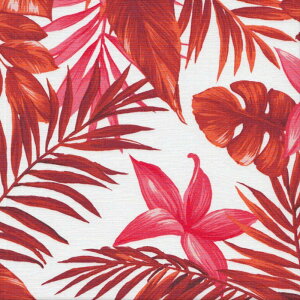 401 H Orange x White nCA u[h